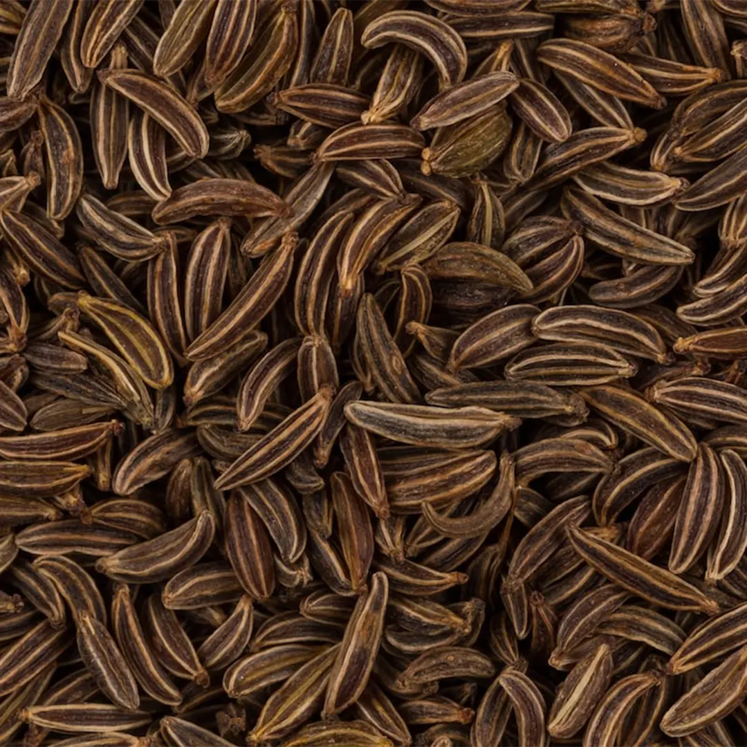 Carawy Seeds