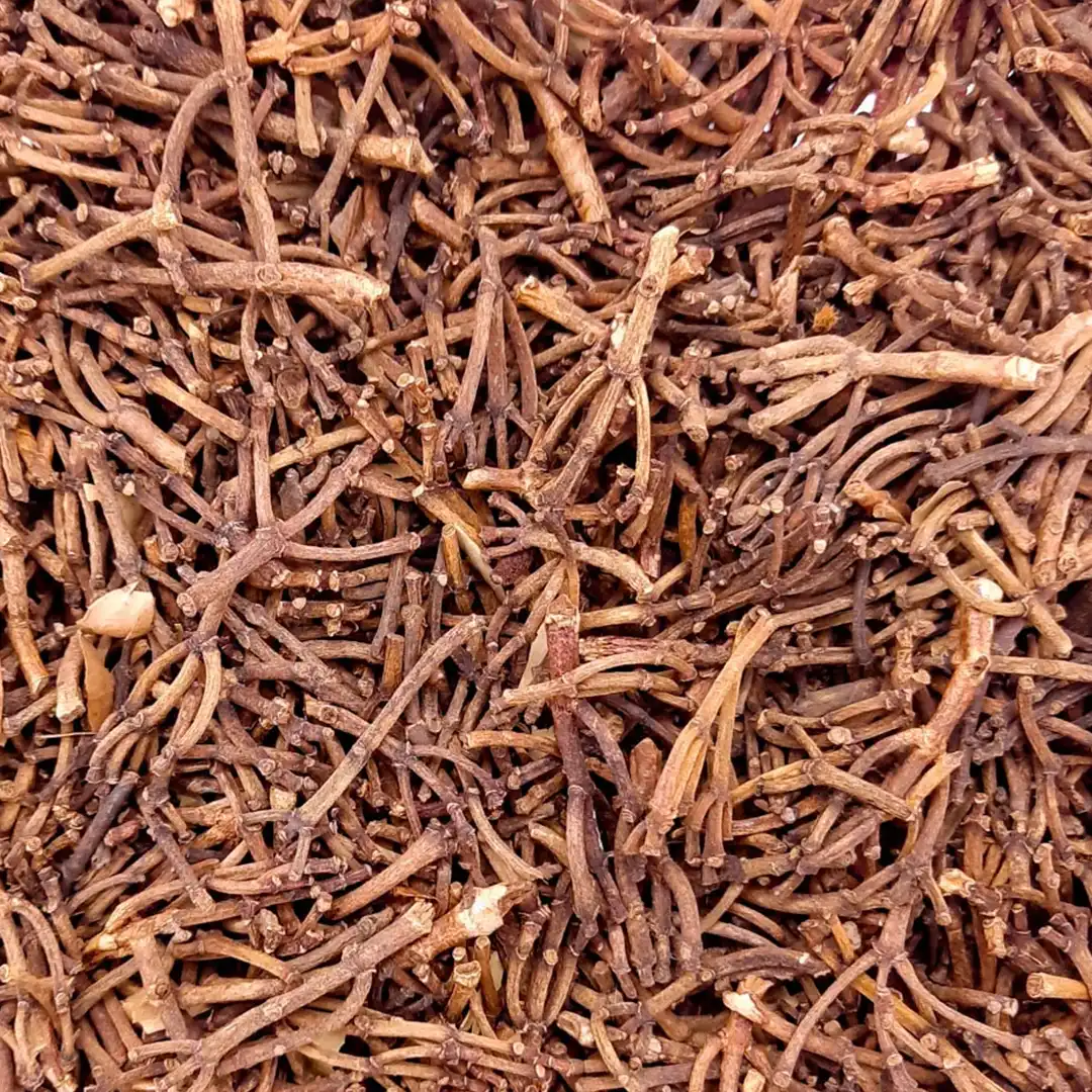 Cloves Stems