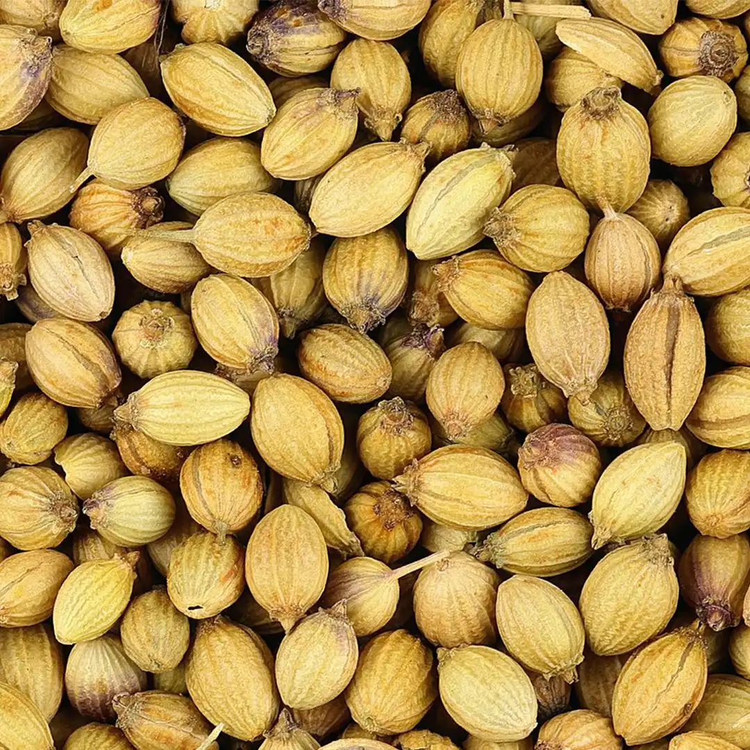 Coriander Seeds