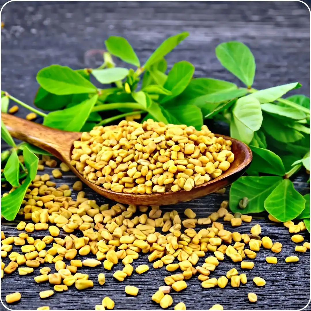 Fenugreek Seeds