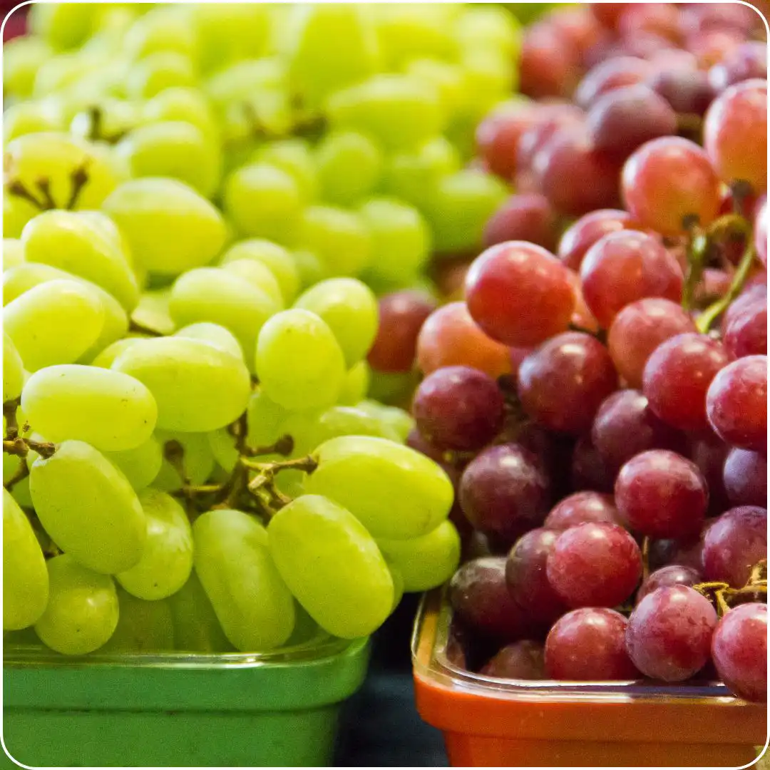 Grapes