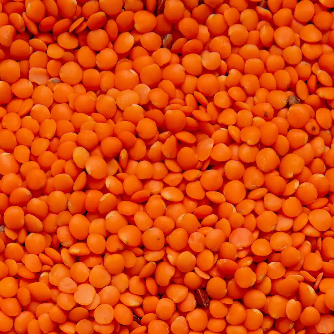 Red Split Lentils