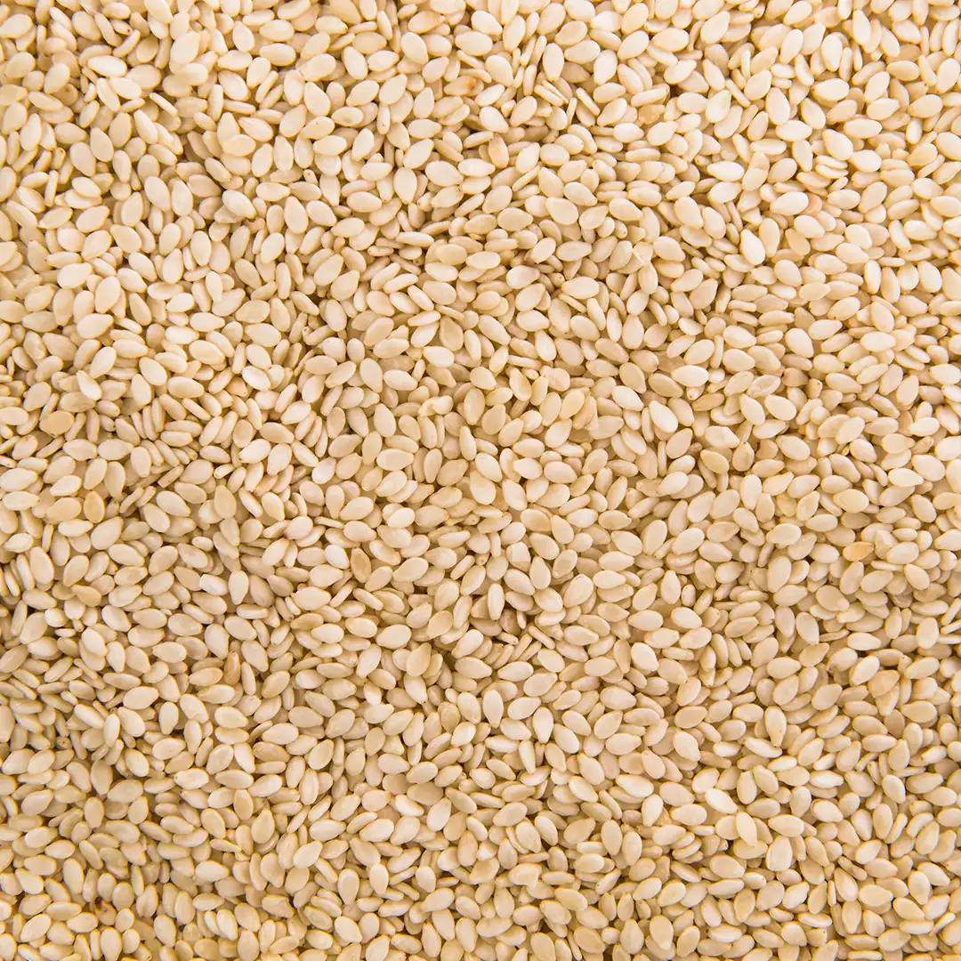 Sesame Seeds