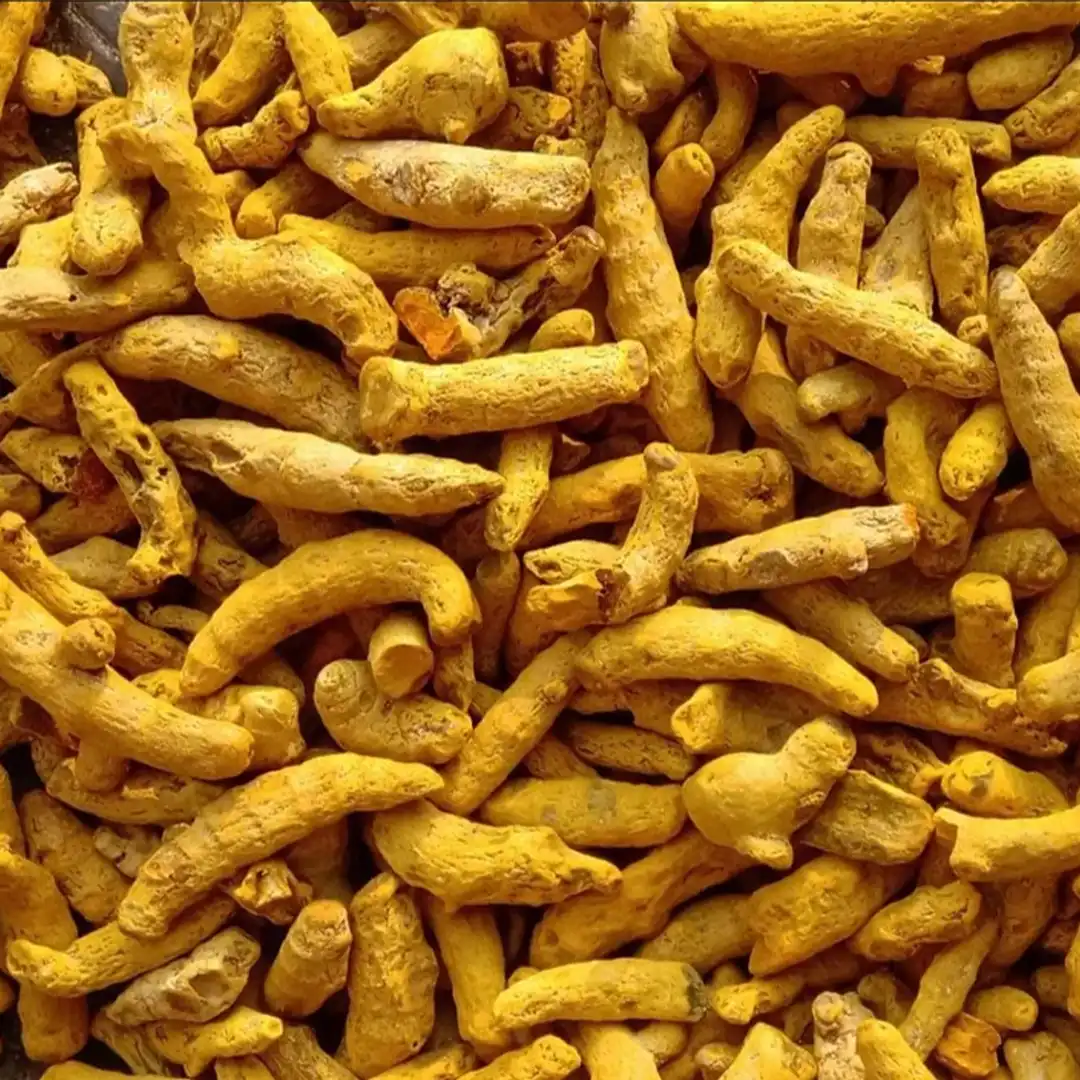 Turmeric Finger