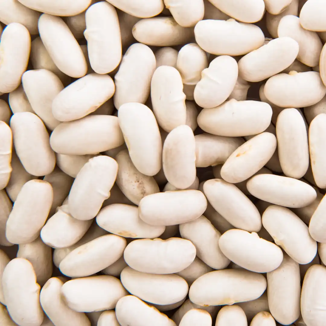White Kidney Bean